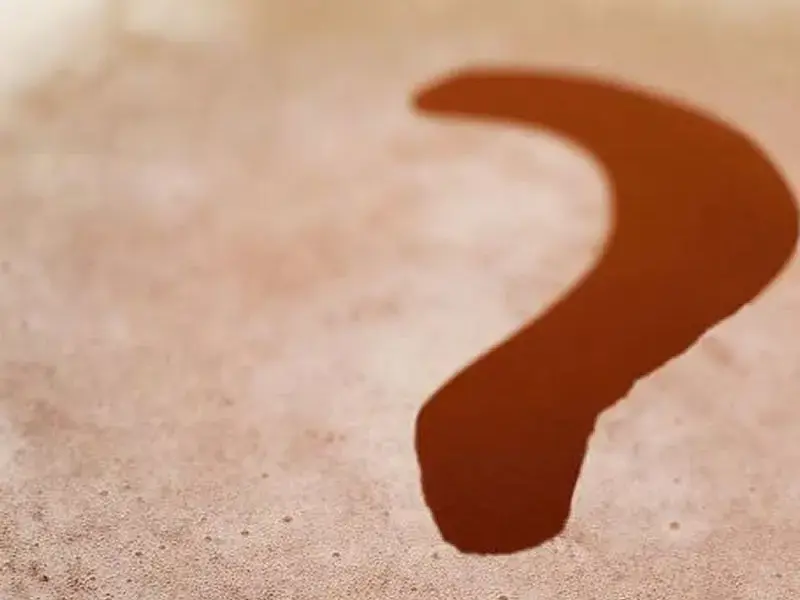 Dutch Venice Boat Puzzle Tour 2 hours